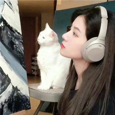 午夜先生小心怪物